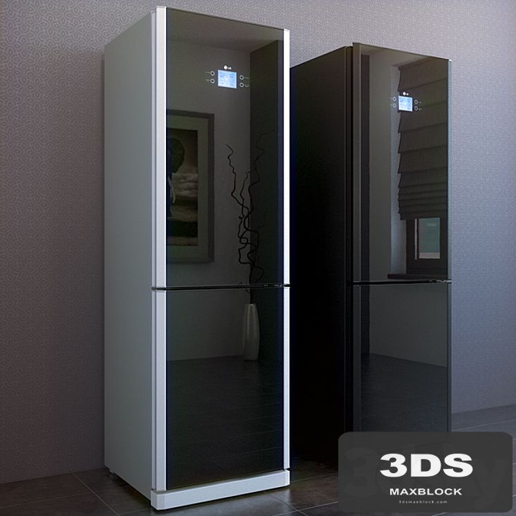 Fridge LG-GA-B409TGMR