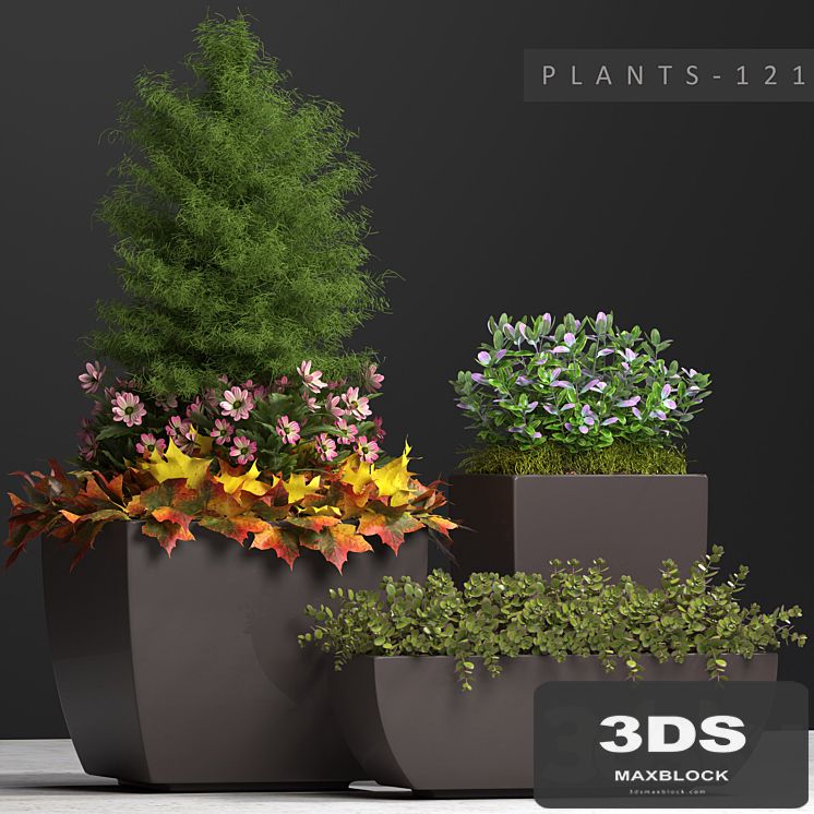 PLANTS 121