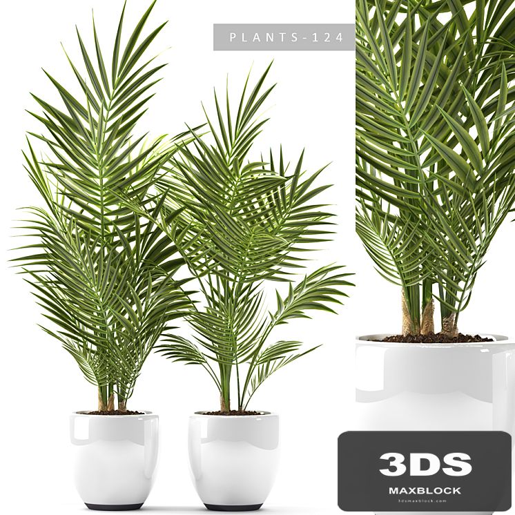 PLANTS 124