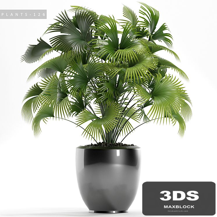 PLANTS 126
