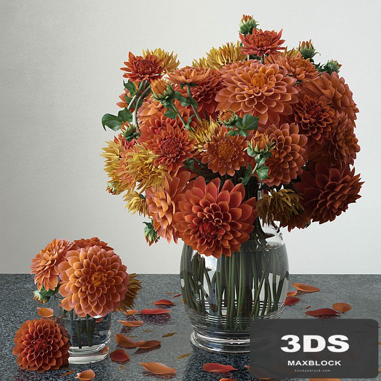 Dahlias