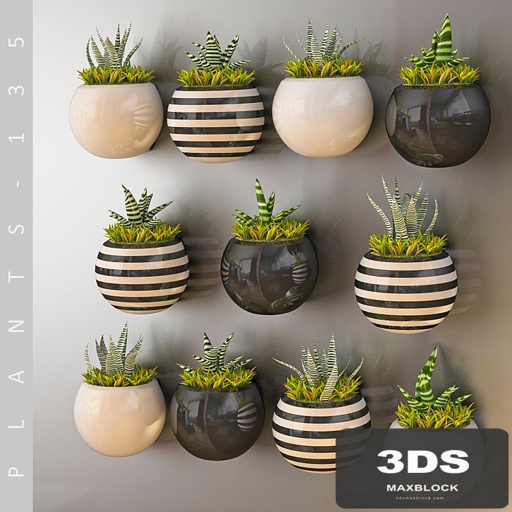 PLANTS 135