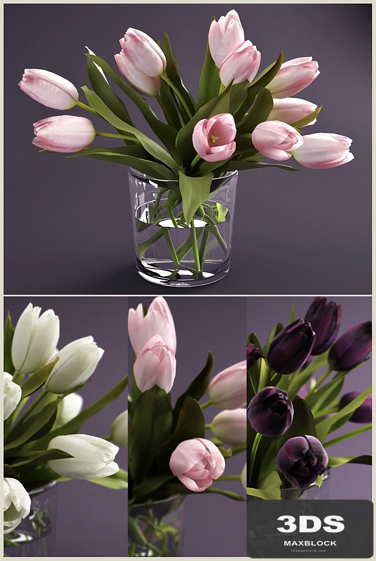 Bouquet of tulips