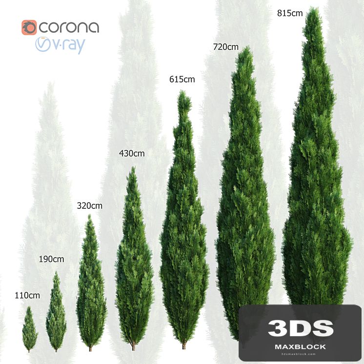 Thuya. Set of 7 models