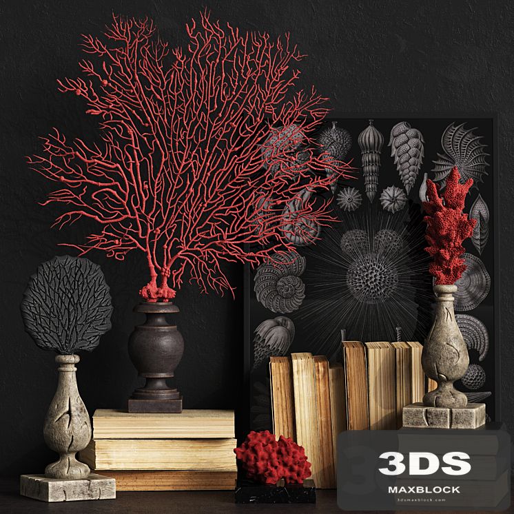 Coral Set 2