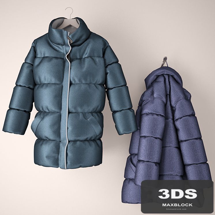 clothing, down jacket