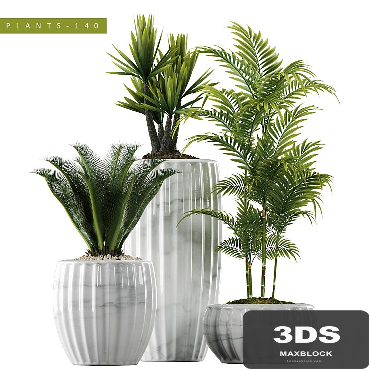 PLANTS 140