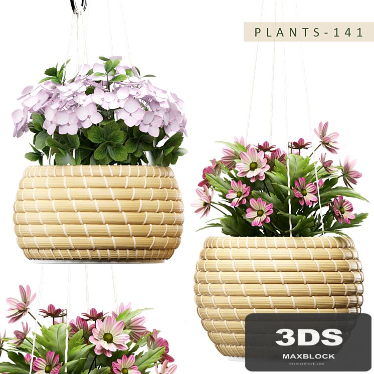 PLANTS 141