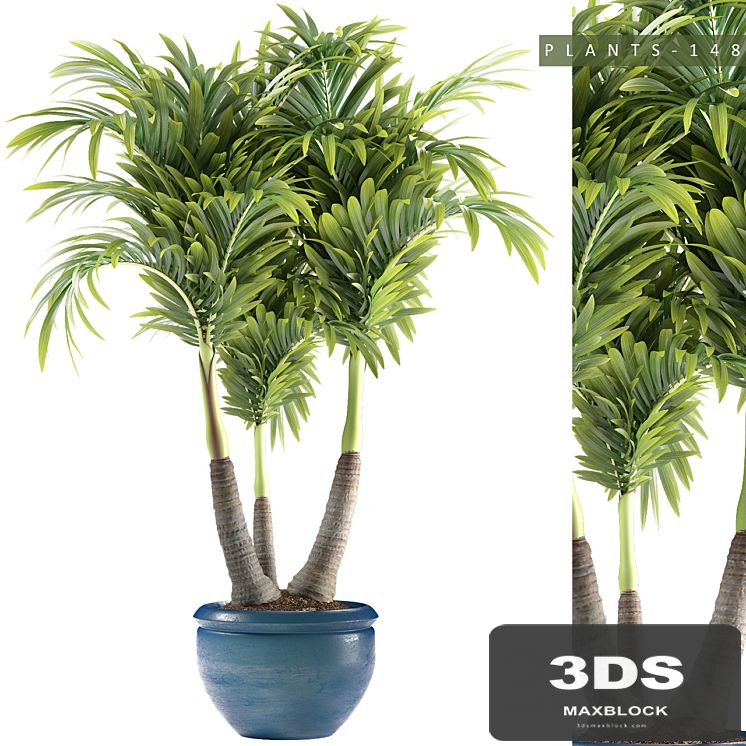 PLANTS 148