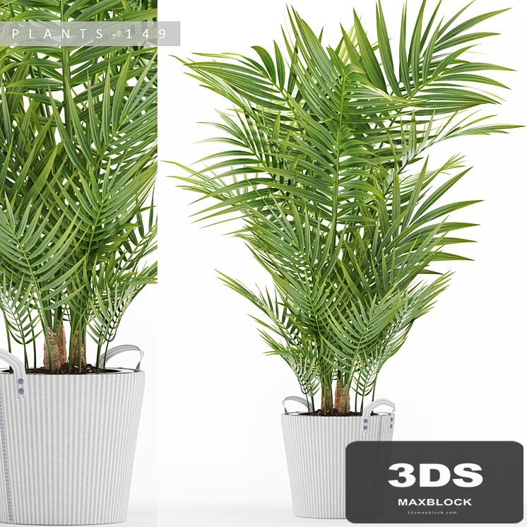 PLANTS 149