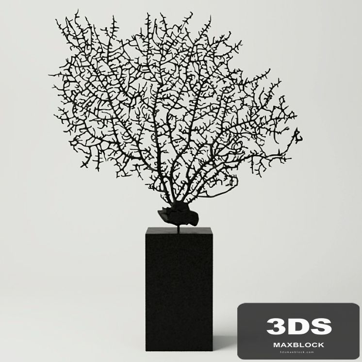 Black Gorgonaria Decoration