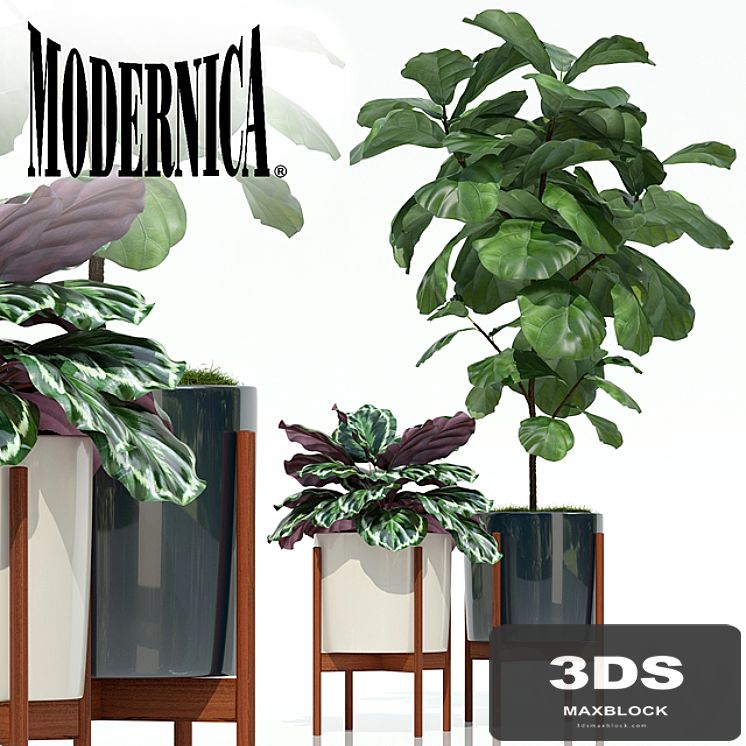 Plants collection 69 Modernica pots