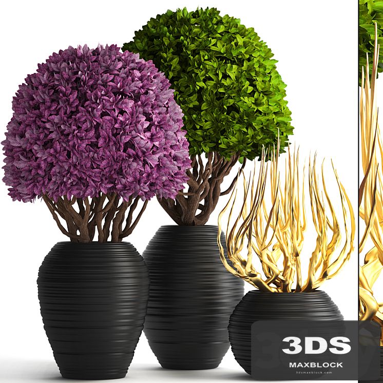 Collection of plants 129. Boxwood, topiary, topiary, decorative vases, decor, golden branches
