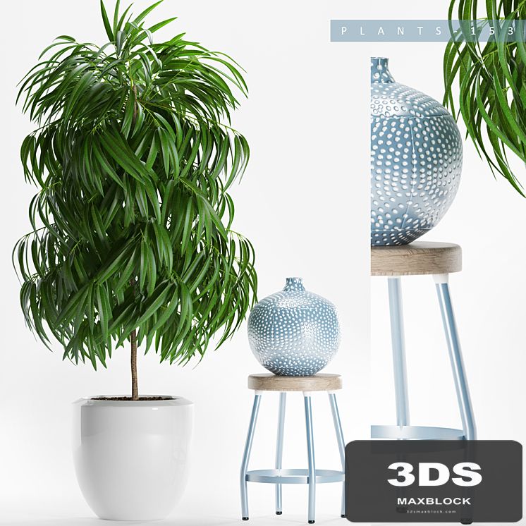 PLANTS 153