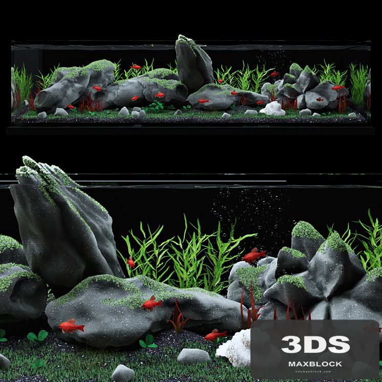 Aquarium