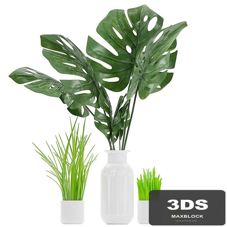 Plant 04