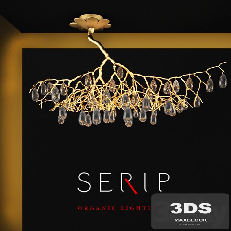 SERIP FASCINIUM