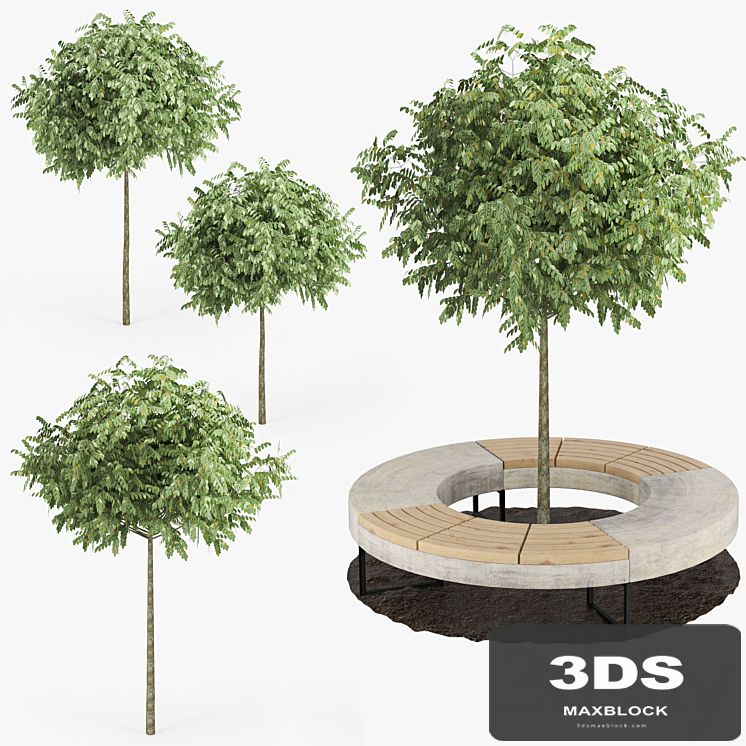 Tree Flowerbed