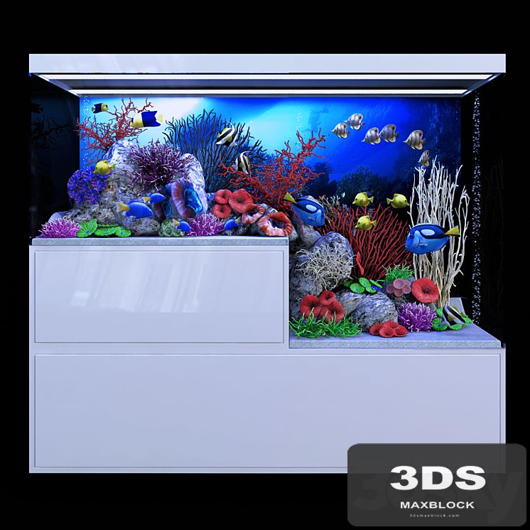 Seawater aquarium
