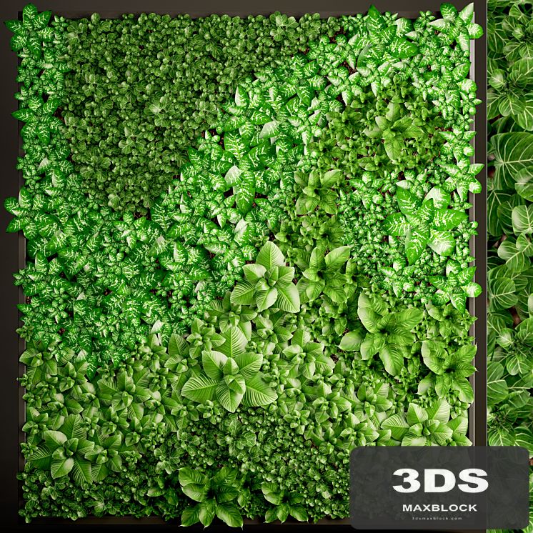 Vertical garden 6. Vertical garden, phytowall, phytomodule, landscaping, green painting, bush, wall decor, eco design