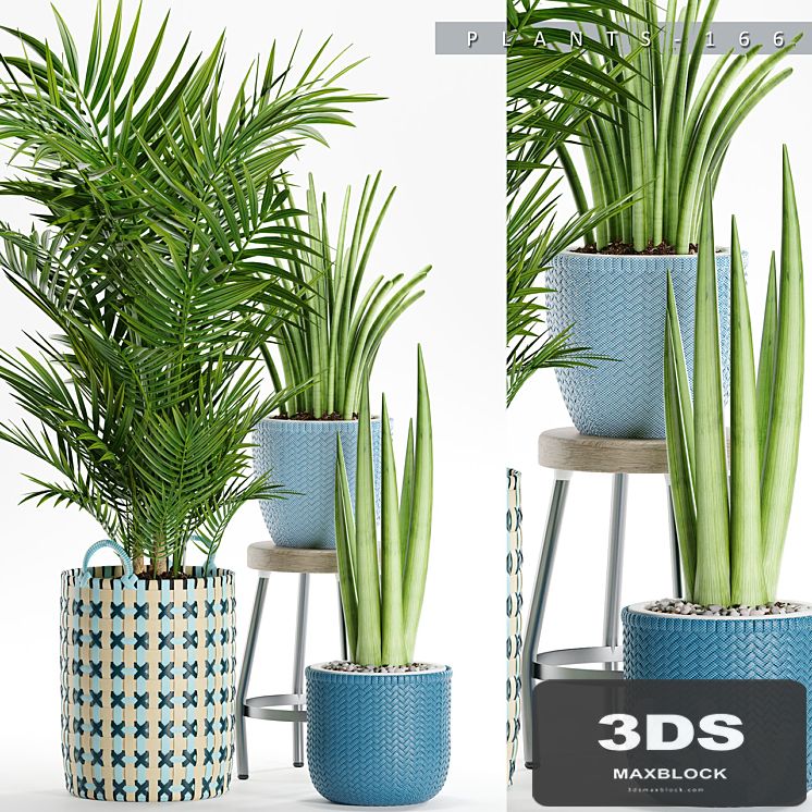 PLANTS 166