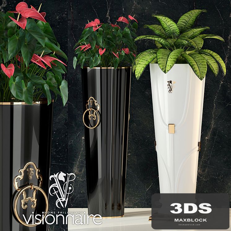 Visionnaire Windsor & Chantilly