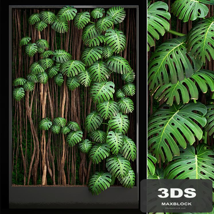 Vertical garden 9. Monstera, phytowall, phytomodule, eco design, vertical garden, decorative
