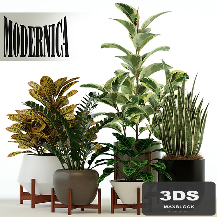 Plants collection 75 Modernica pots