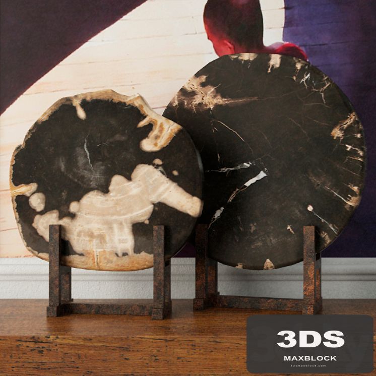 Black Petrified Wood Slices