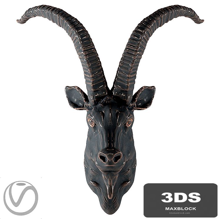 Head of a mountain goat