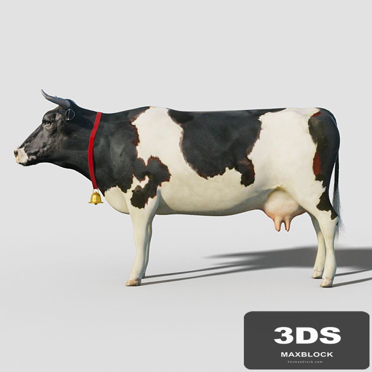 Cow