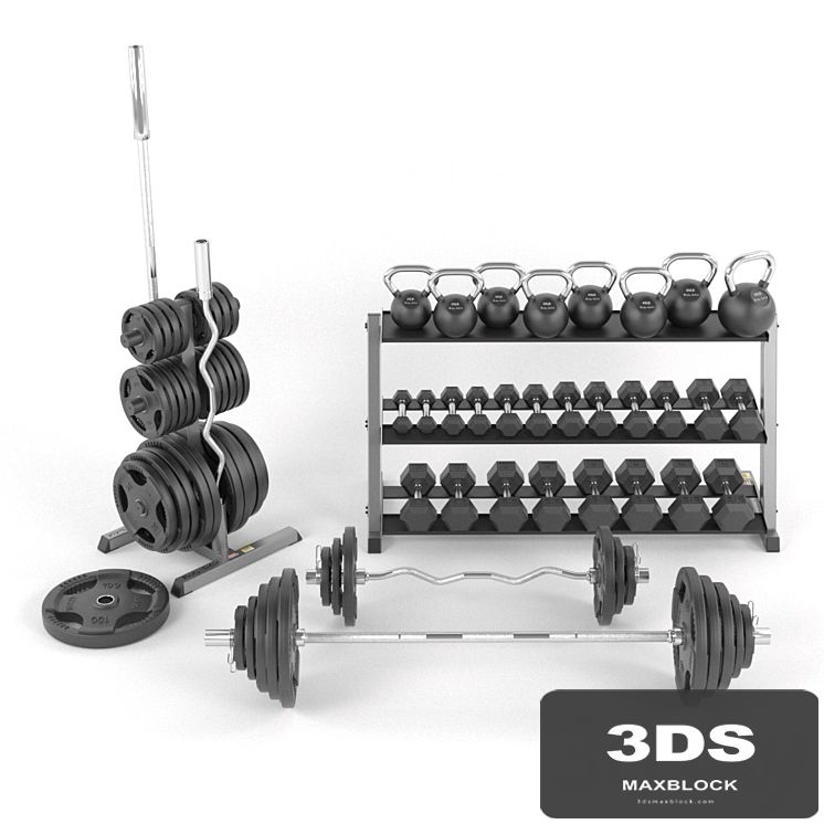 A set of weights for the gym from BodySolid