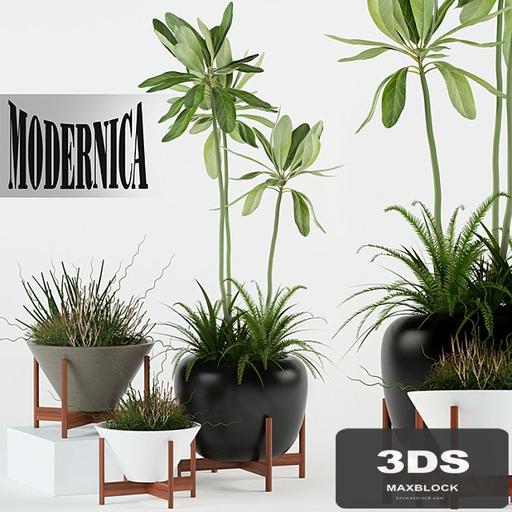Plants collection 77 Modernica pots