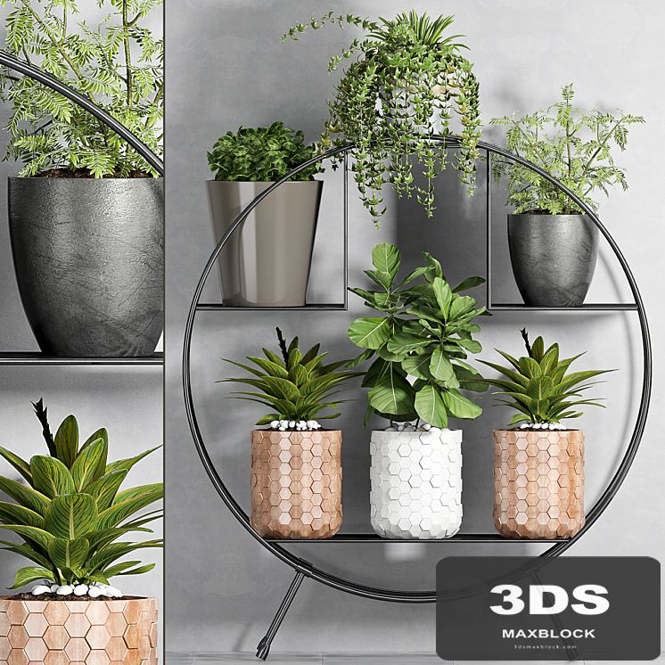 PLANT SET -87