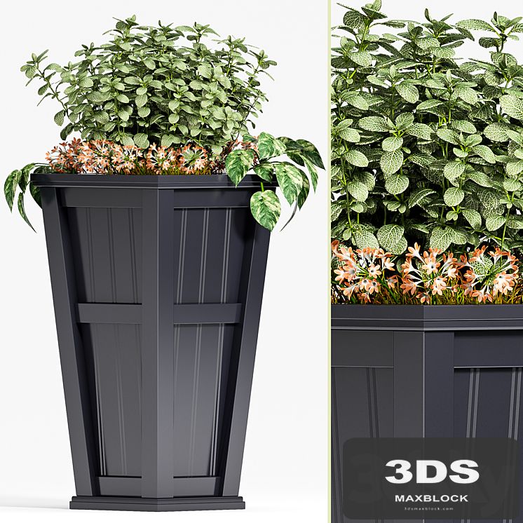 PLANT SET -88