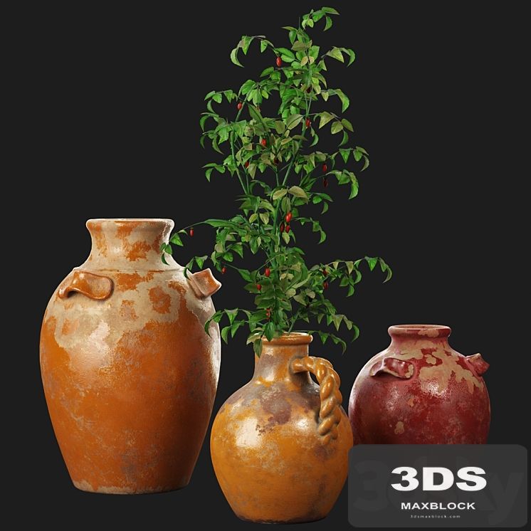 Pottery Barn Sicily Terra Cotta Vases