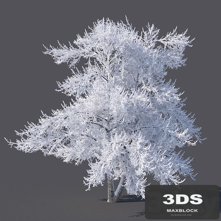 Winter tree (6 meters)