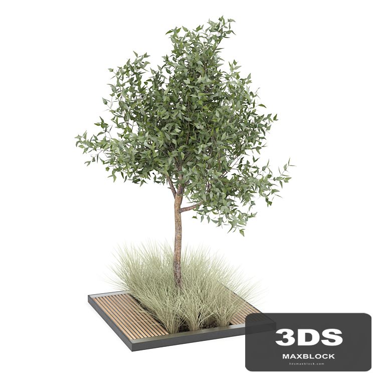 tree