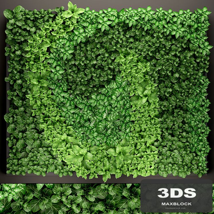 Vertical garden 14. vertical garden, green wall, phytomodule, eco design, picture of flowers, plants on the wall