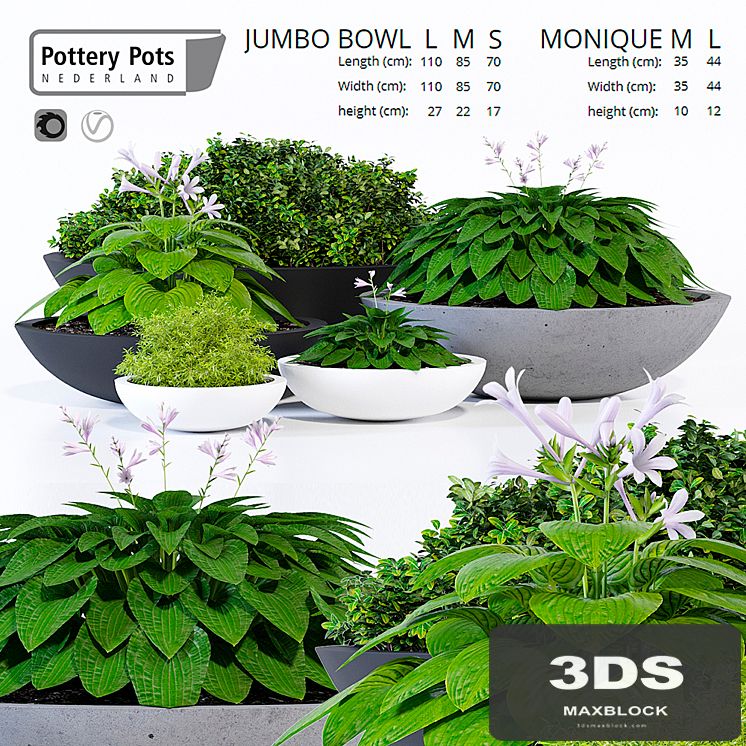 Potterypots twelve