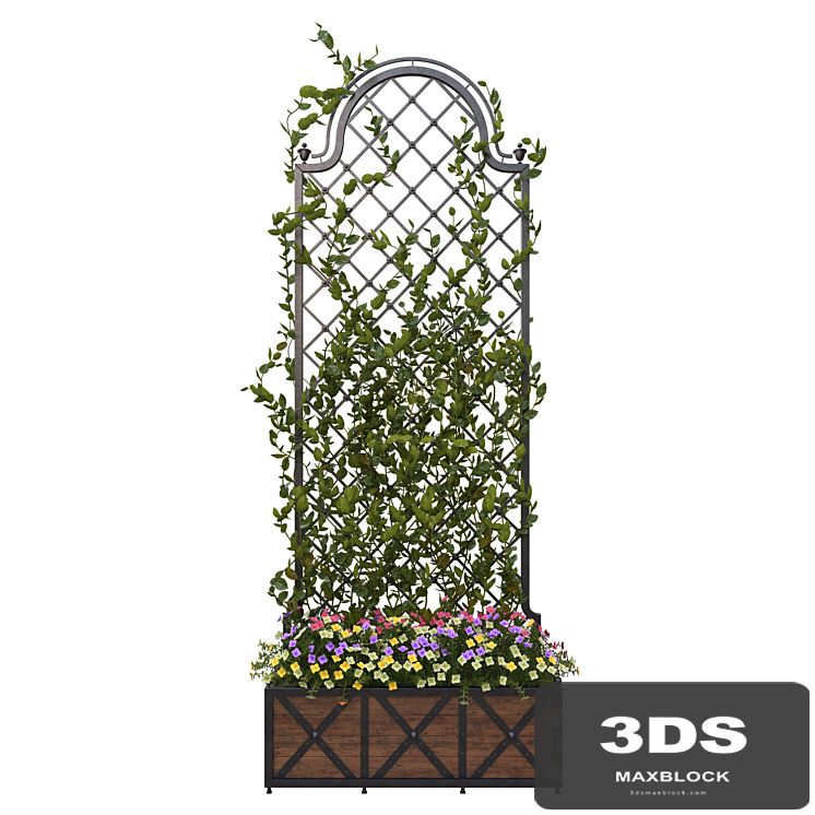 Pergola with flowers