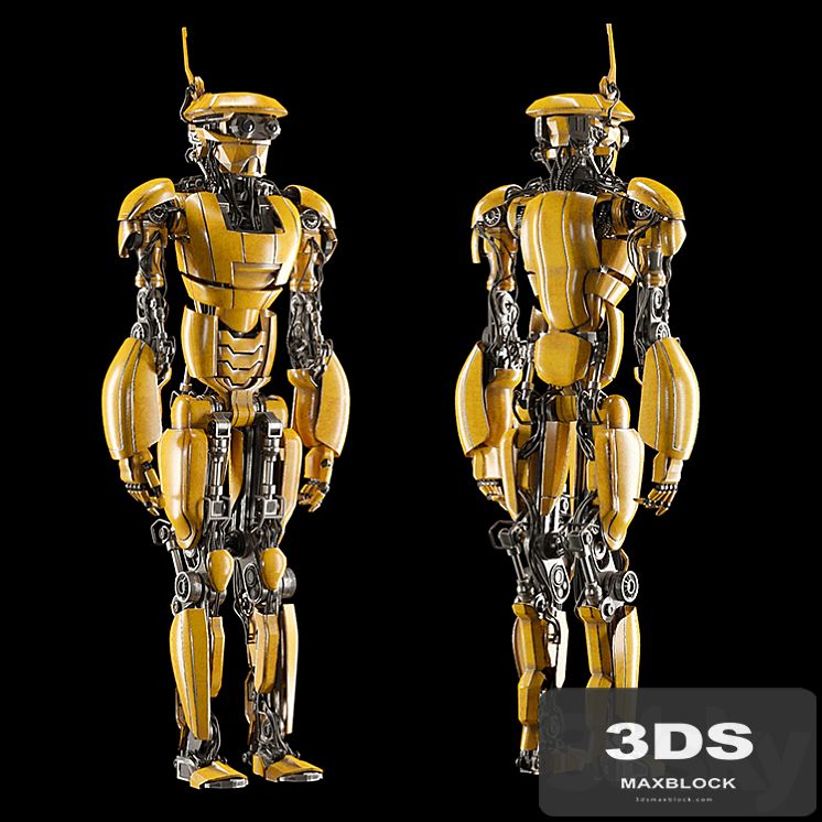Robot