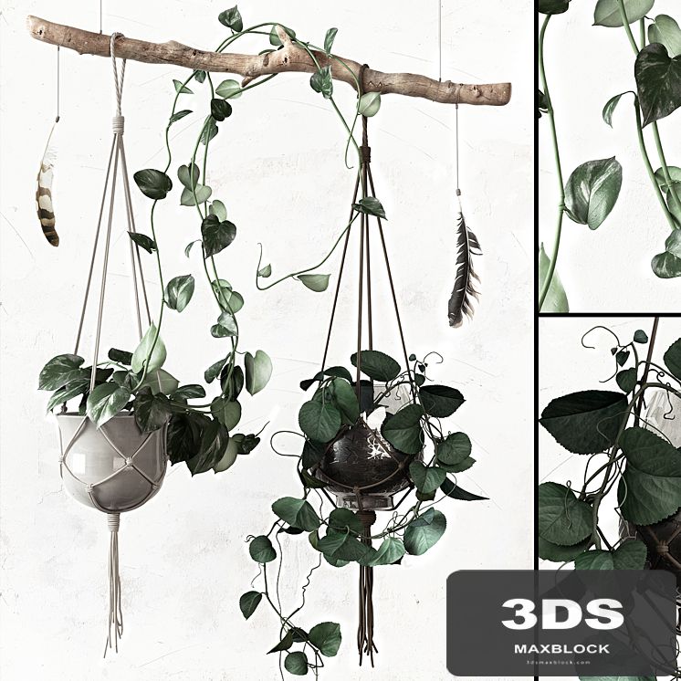 PLANTSET