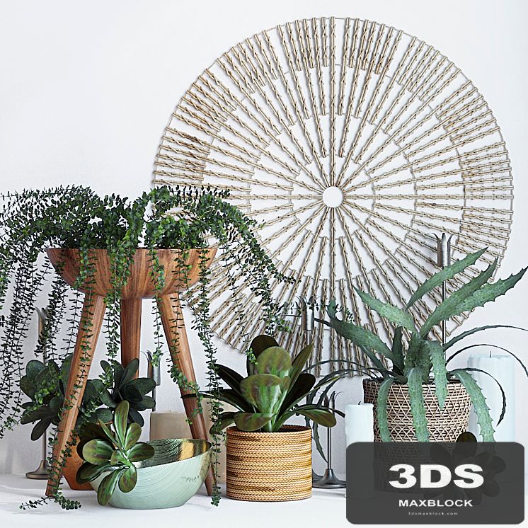 Plant decor set - 1
