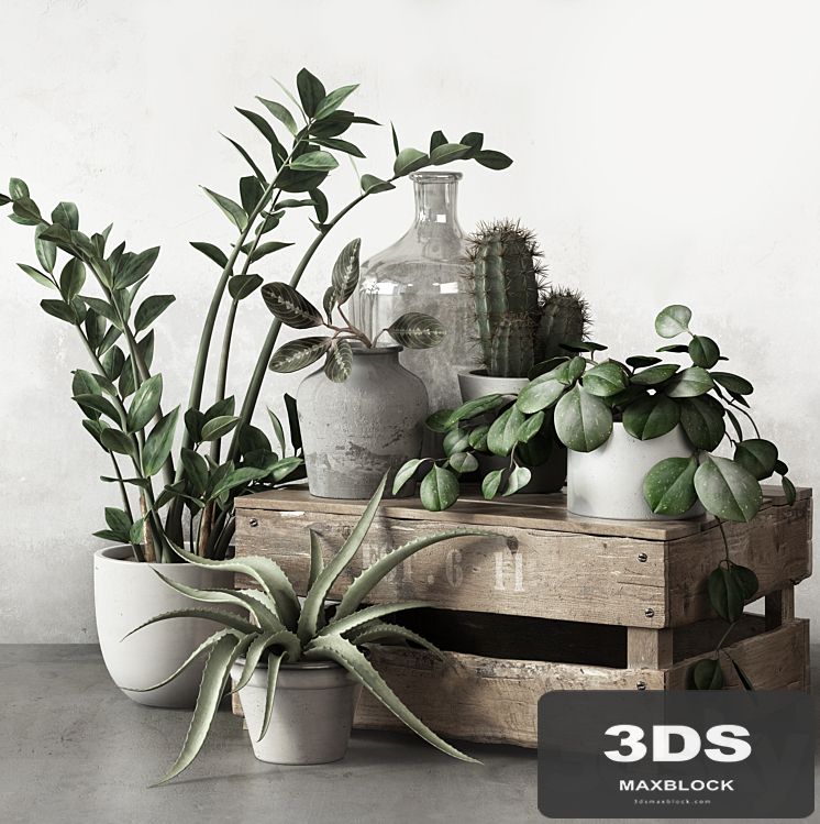 PLANTSET 2