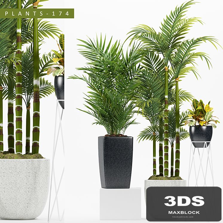PLANTS 174