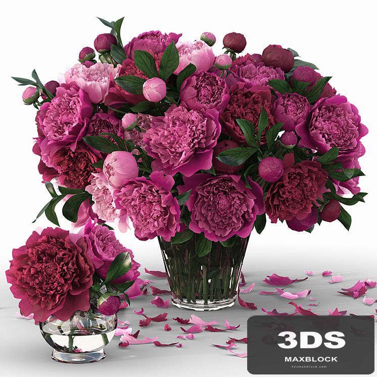 Peonies