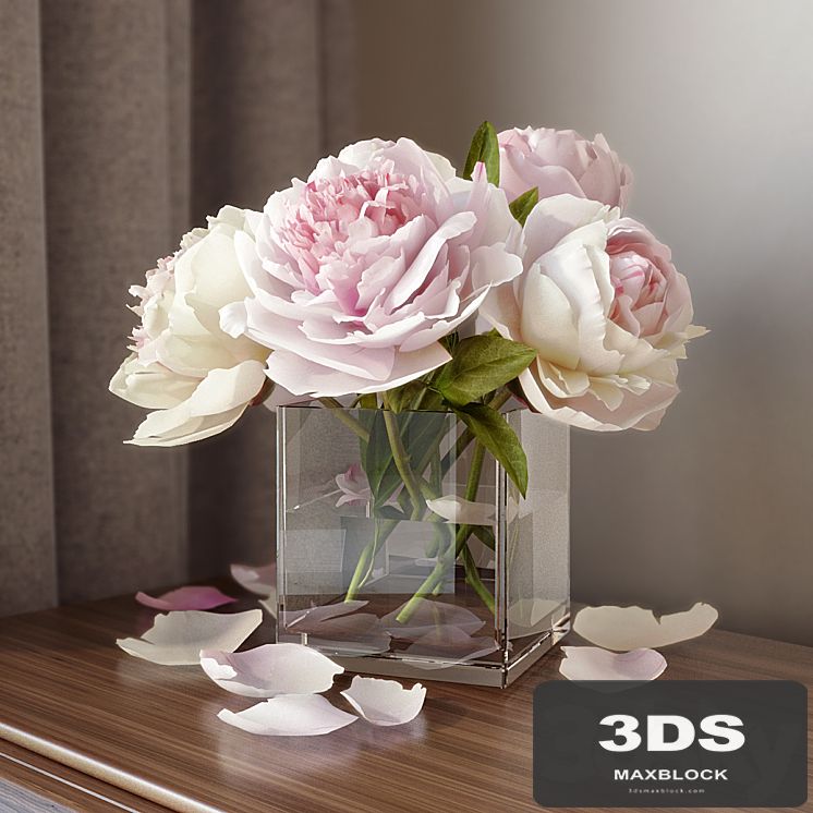Peonies