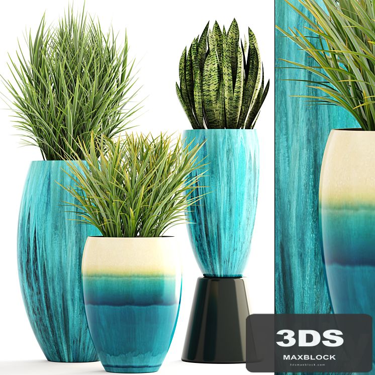 Collection of plants. Pot, flowerpot, street decor, landscape design, bush, grass, sansevieria, turquoise, interior, decorative, Chlorophytum