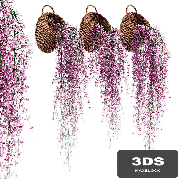 Hanging plants in wicker pots v2